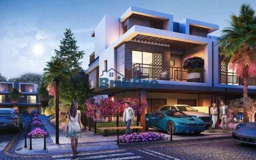 Violet | Flexible Sizes Available I Handover Q2,26